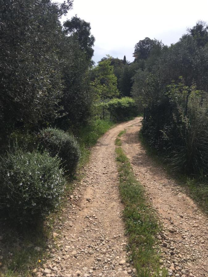 Cottage Pura Vigna Immerso Nella Natura Vicino Al Mare Porto Santo Stefano  Εξωτερικό φωτογραφία