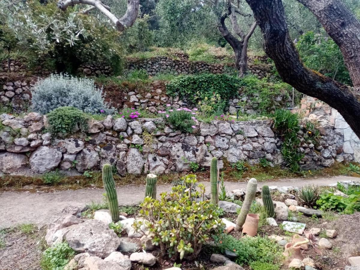 Cottage Pura Vigna Immerso Nella Natura Vicino Al Mare Porto Santo Stefano  Εξωτερικό φωτογραφία