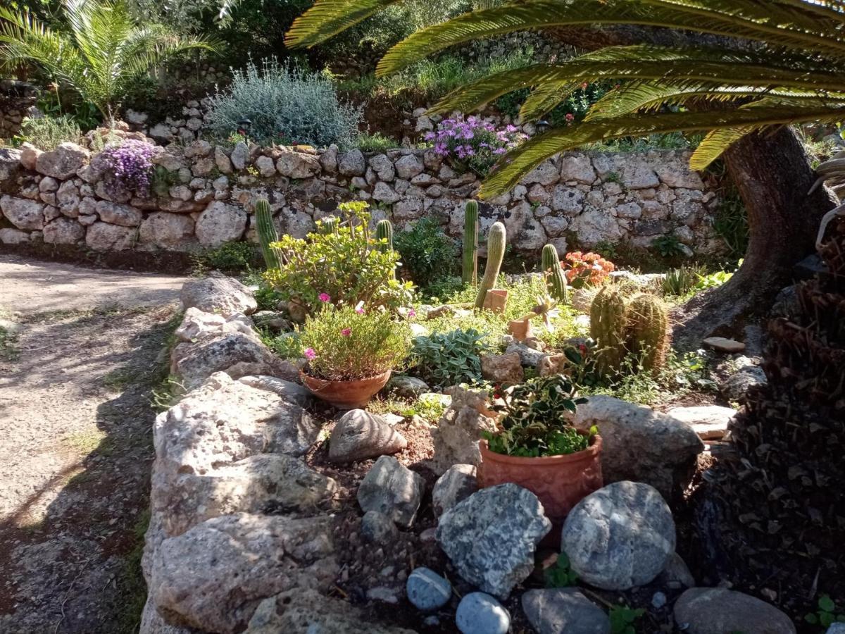 Cottage Pura Vigna Immerso Nella Natura Vicino Al Mare Porto Santo Stefano  Εξωτερικό φωτογραφία