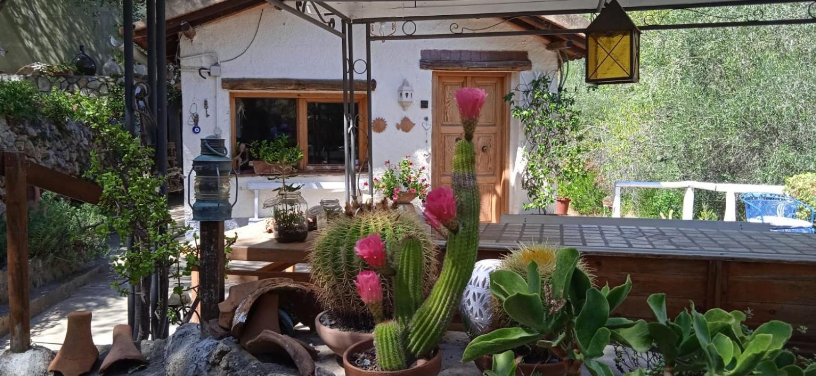 Cottage Pura Vigna Immerso Nella Natura Vicino Al Mare Porto Santo Stefano  Εξωτερικό φωτογραφία