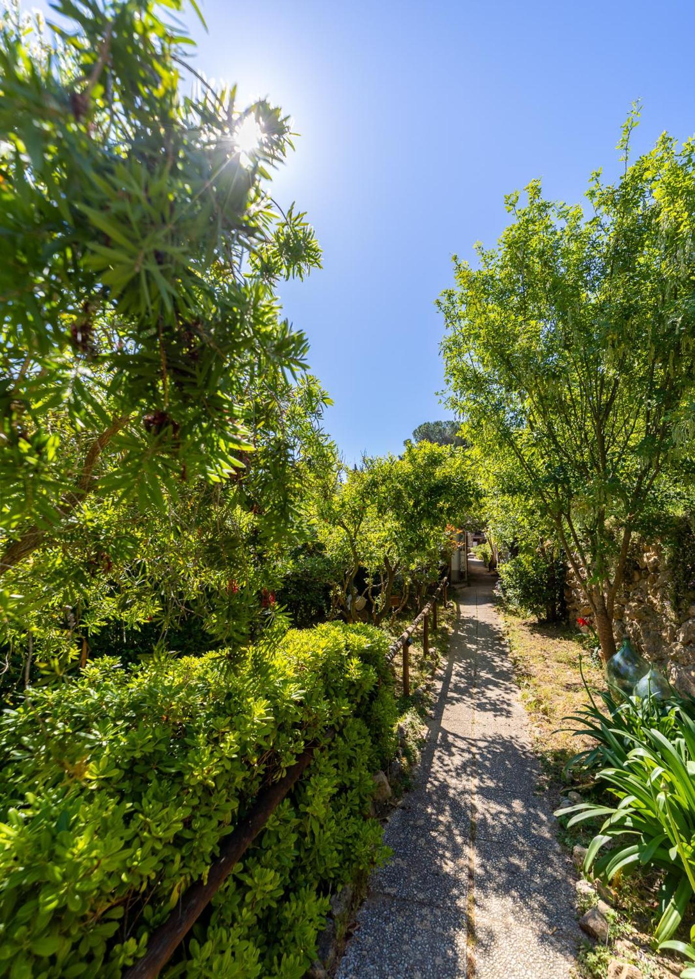 Cottage Pura Vigna Immerso Nella Natura Vicino Al Mare Porto Santo Stefano  Εξωτερικό φωτογραφία