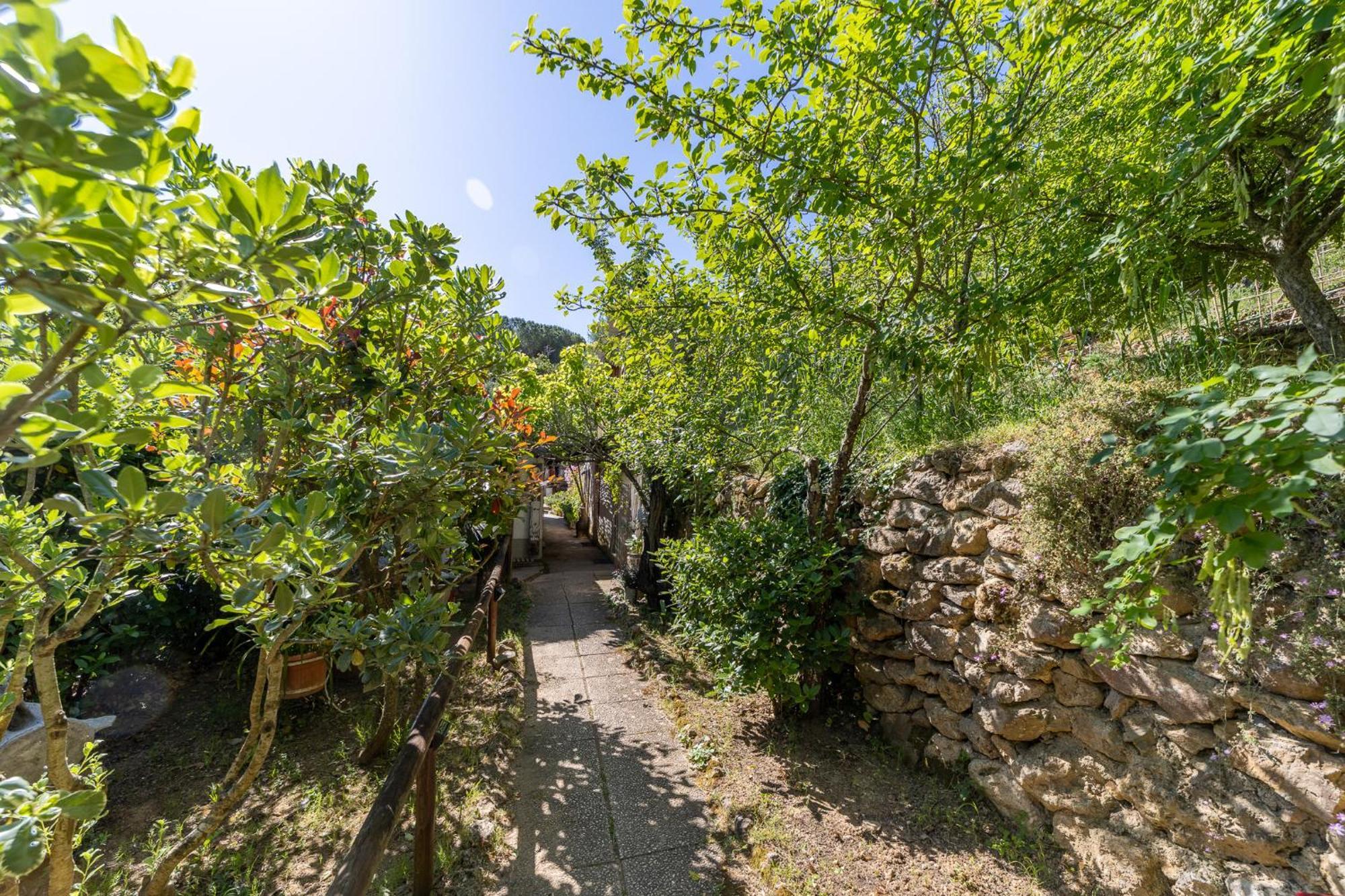 Cottage Pura Vigna Immerso Nella Natura Vicino Al Mare Porto Santo Stefano  Εξωτερικό φωτογραφία