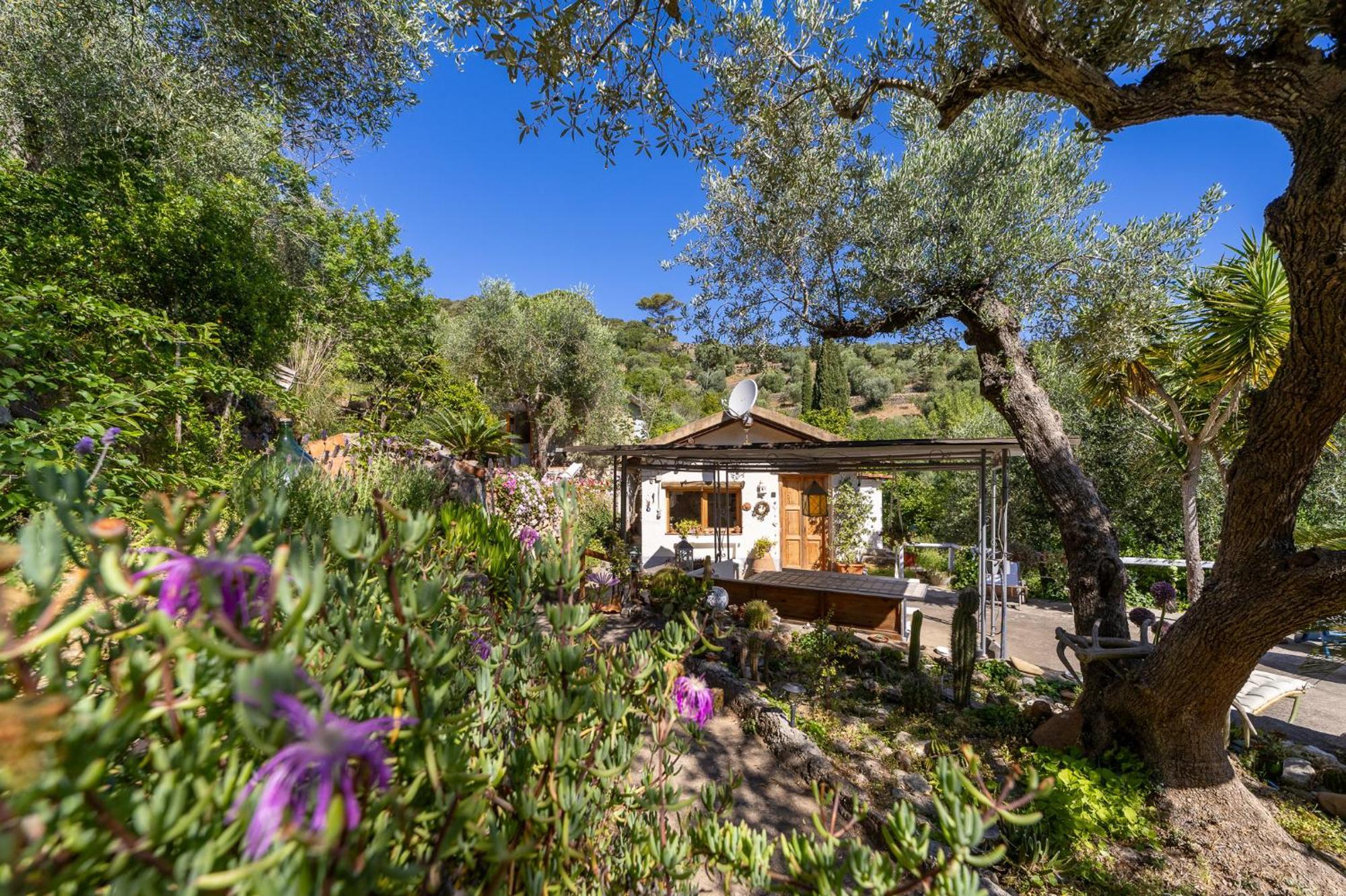 Cottage Pura Vigna Immerso Nella Natura Vicino Al Mare Porto Santo Stefano  Εξωτερικό φωτογραφία