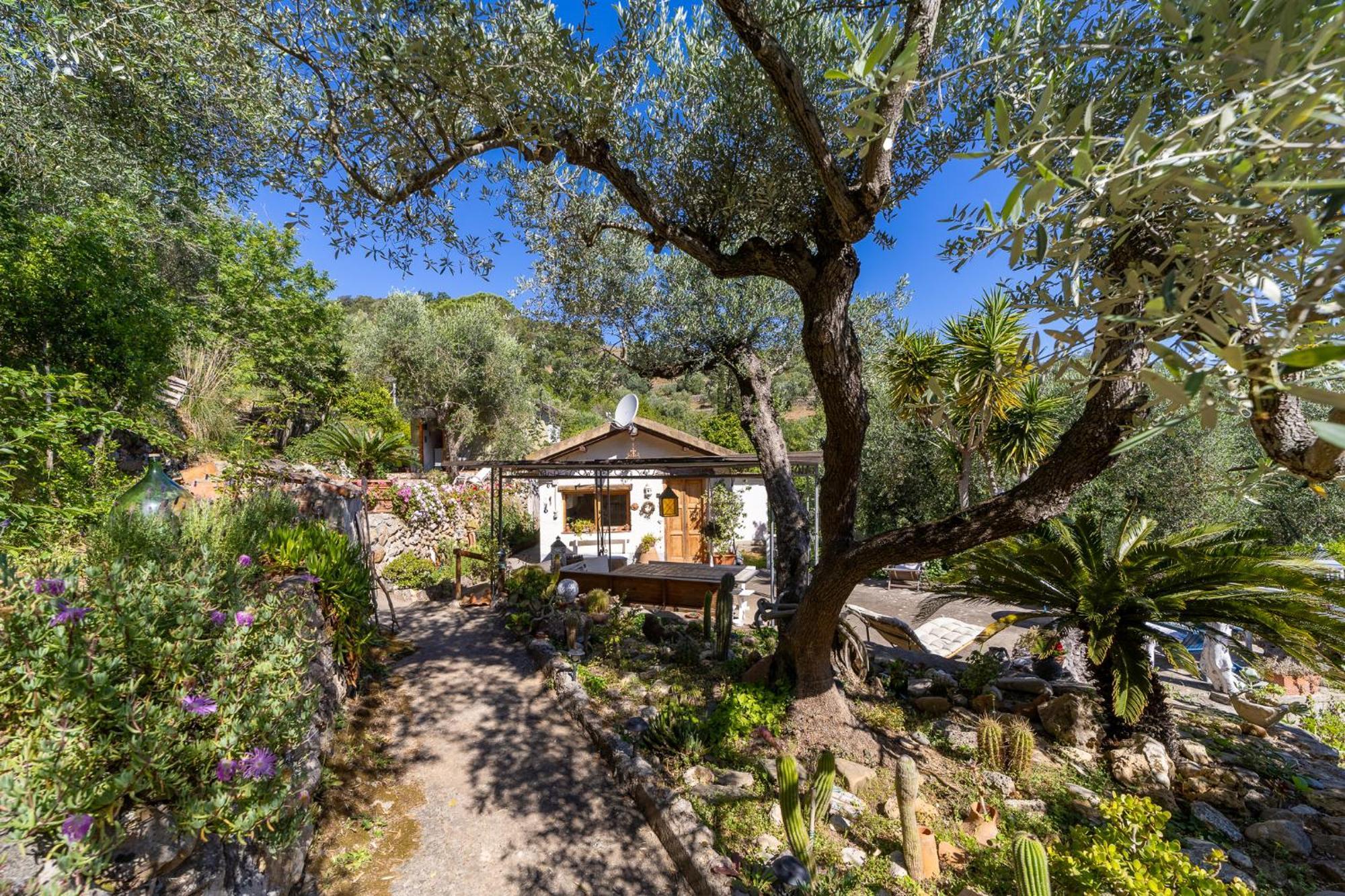 Cottage Pura Vigna Immerso Nella Natura Vicino Al Mare Porto Santo Stefano  Εξωτερικό φωτογραφία